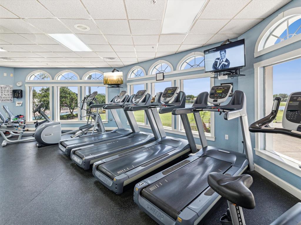 8405 Maybelle Drive Weeki Wachee, FL 34613 - Photo 59 of 61 a view of a room with gym equipment