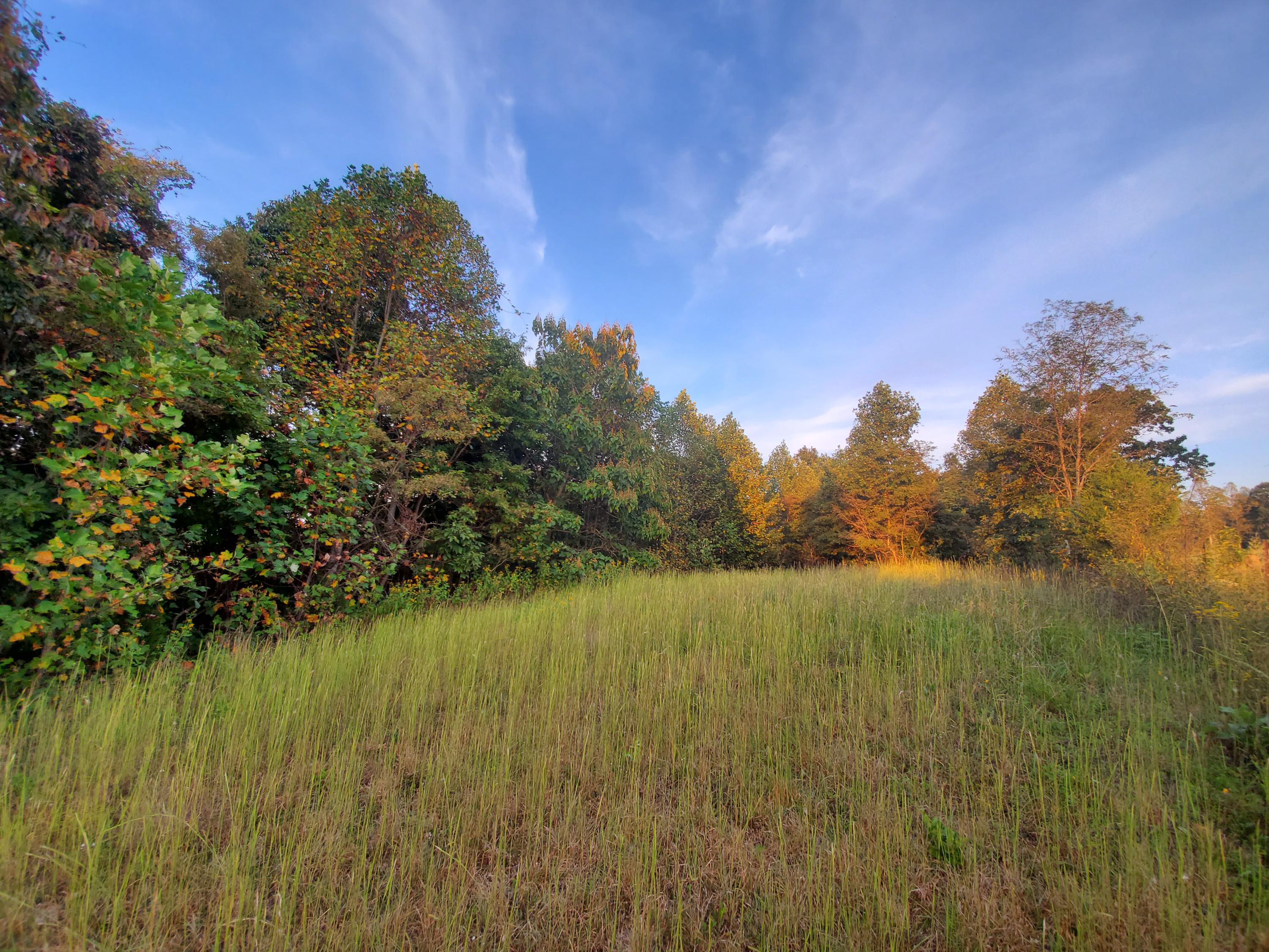 Beech Hollow Road Harrogate, TN 37752 - Photo 1 of 5 20190917_191745
