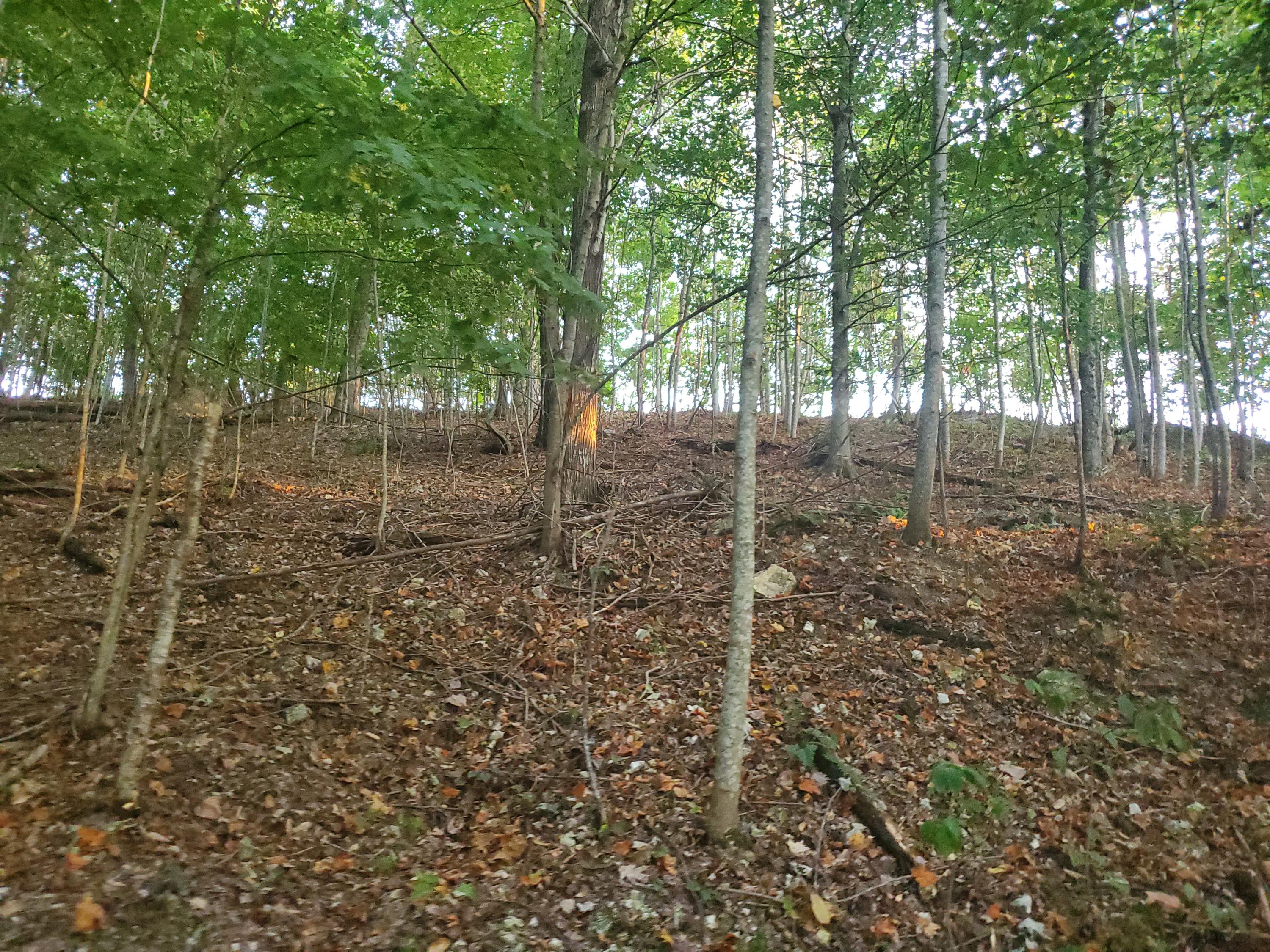Beech Hollow Road Harrogate, TN 37752 - Photo 3 of 5 20190917_191631
