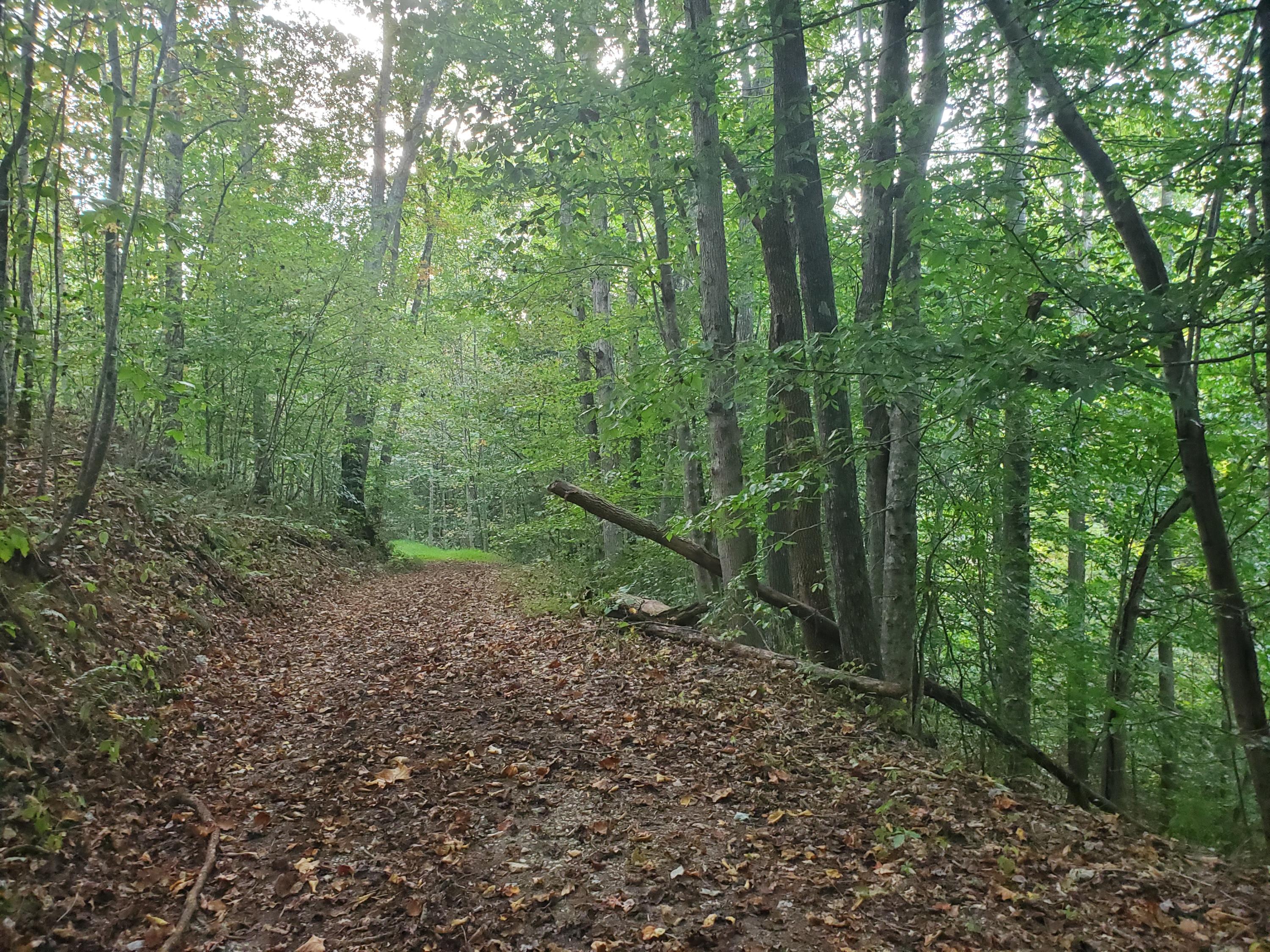 Beech Hollow Road Harrogate, TN 37752 - Photo 4 of 5 20190917_191018