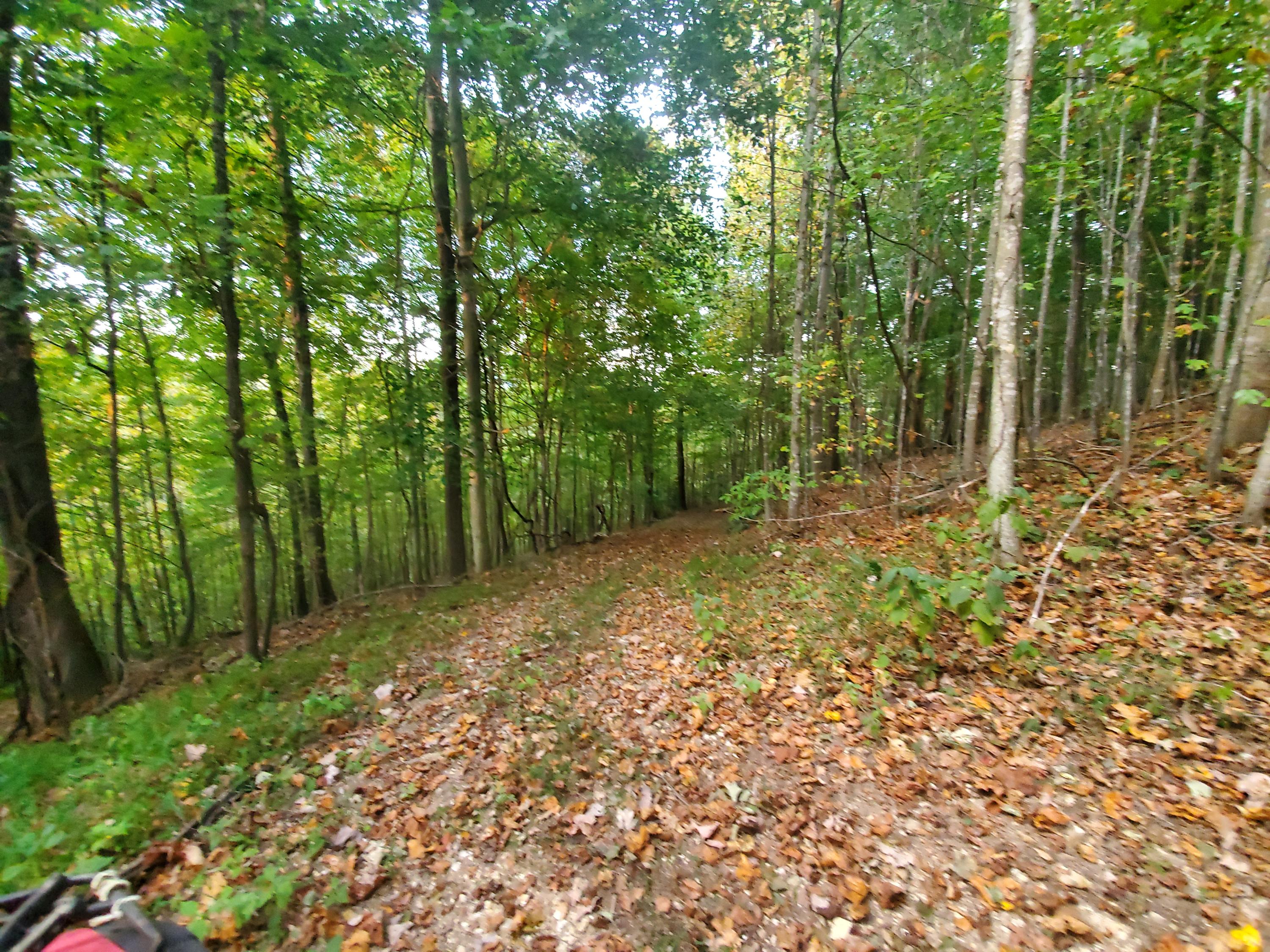 Beech Hollow Road Harrogate, TN 37752 - Photo 5 of 5 20190917_192319