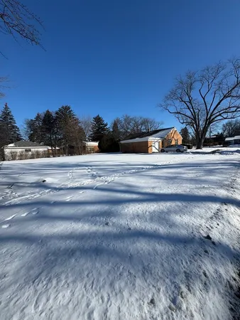 a view of a yard