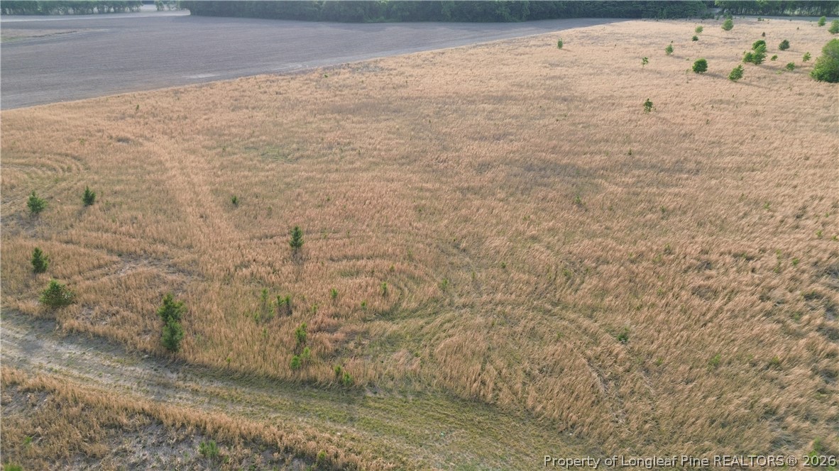 Lot 1 Fairley Road Maxton, NC 28364 - Photo 1 of 2 Lot 1 - 10.27ac +/-