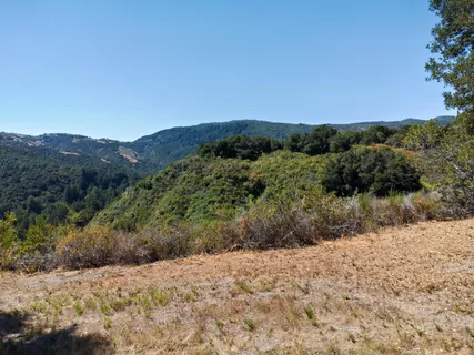 a view of a yard with a lake