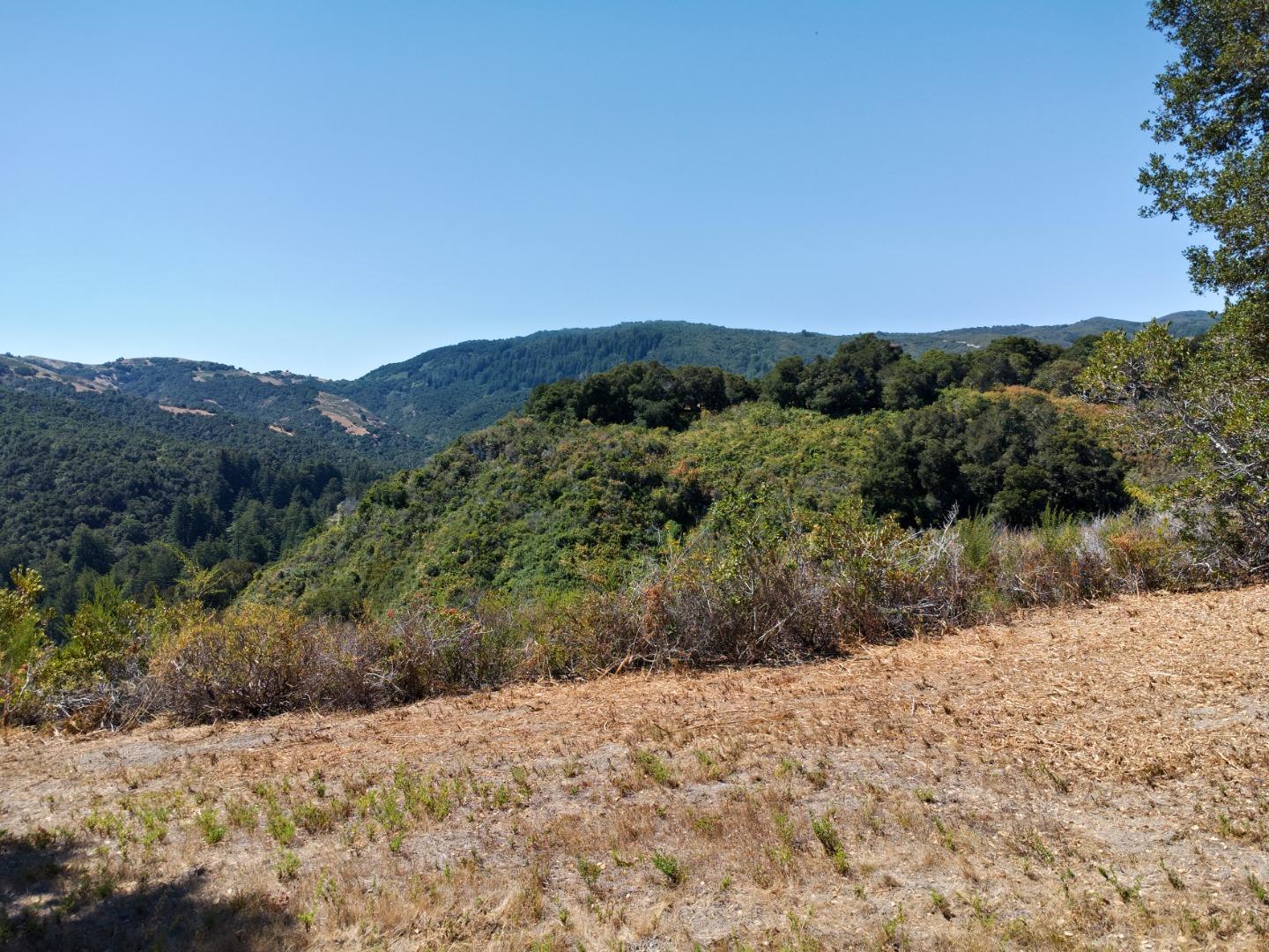 4 Holding Field Run Carmel, CA 93923 - Photo 15 of 19 a view of a yard with a lake