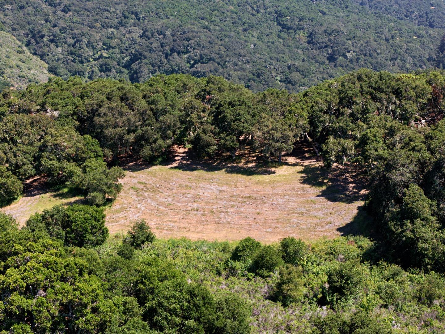 4 Holding Field Run Carmel, CA 93923 - Photo 16 of 19 a view of a yard with plants and tree