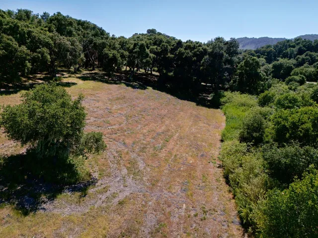 a view of mountain view with trees