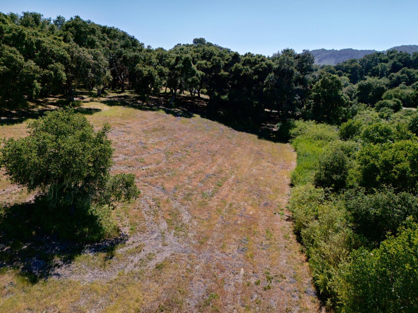 4 Holding Field Run Carmel, CA 93923 - Photo 19 of 19 a view of mountain view with trees
