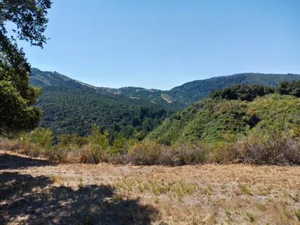 a view of a dry yard with mountains in the background