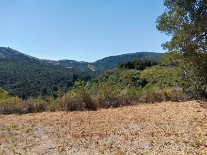 a view of a dry yard with mountains in the background