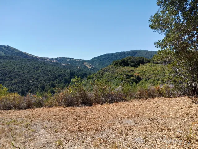 a view of a dry yard with mountains in the background