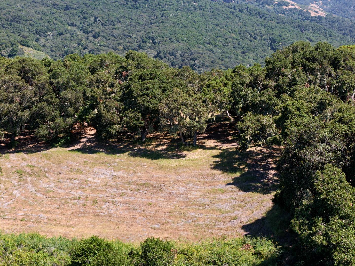 4 Holding Field Run Carmel, CA 93923 - Photo 4 of 19 a view of a pathway of a yard
