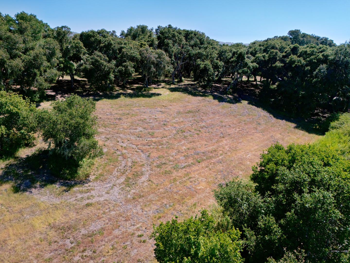 4 Holding Field Run Carmel, CA 93923 - Photo 6 of 19 a view of a yard with plants and trees