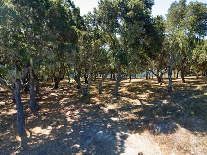 a view of outdoor space with trees