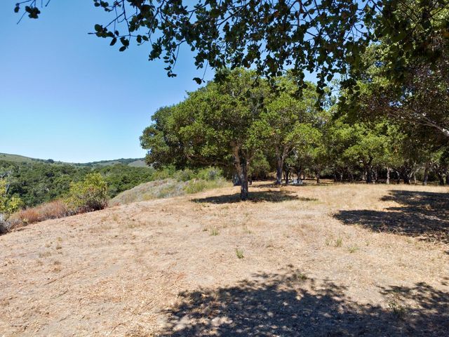 a view of empty space with trees