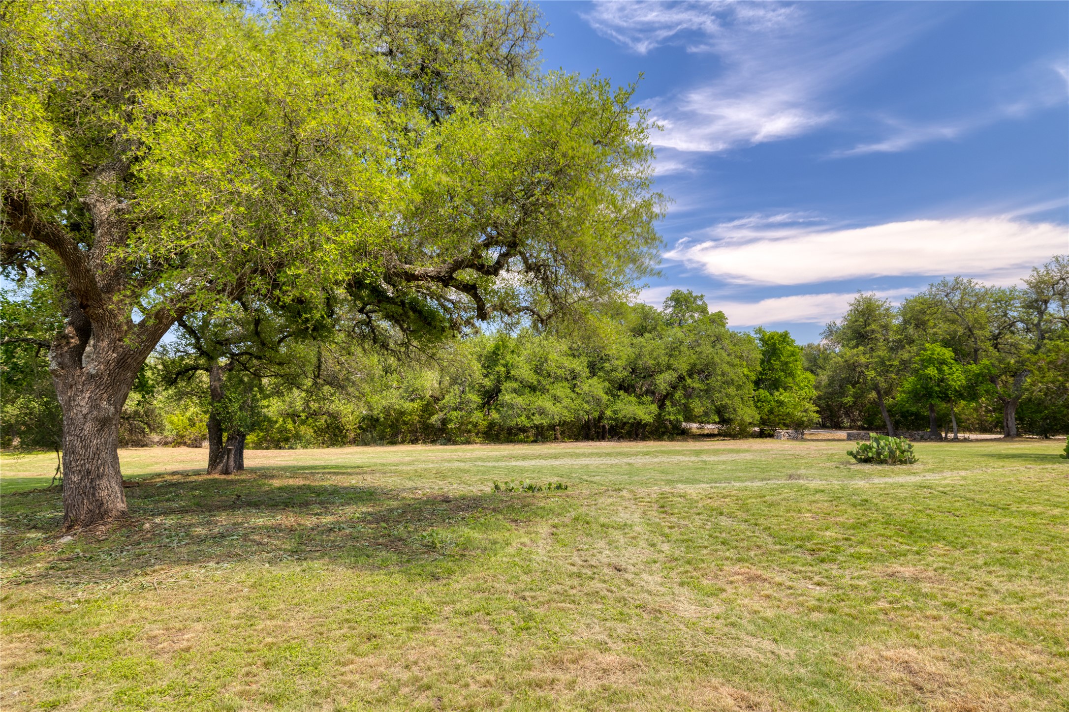 187 Beauchamp Road Dripping Springs, TX 78620 - Photo 3 of 19 Expansive grassy area featuring mature trees and a distant tree line under a blue sky with white clouds
