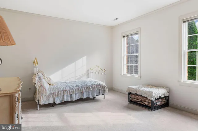 a living room with a bed furniture and a window