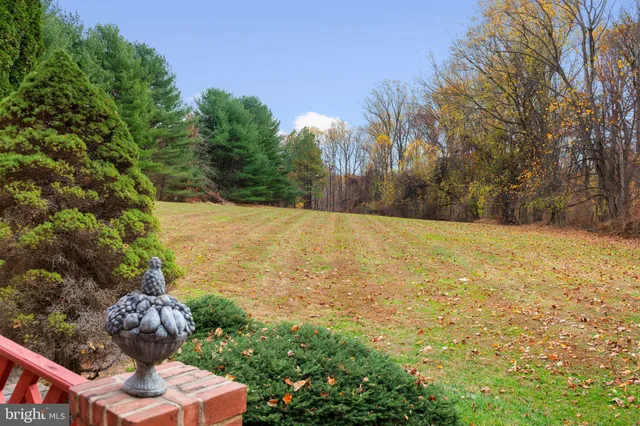a backyard of a house with lots of green space