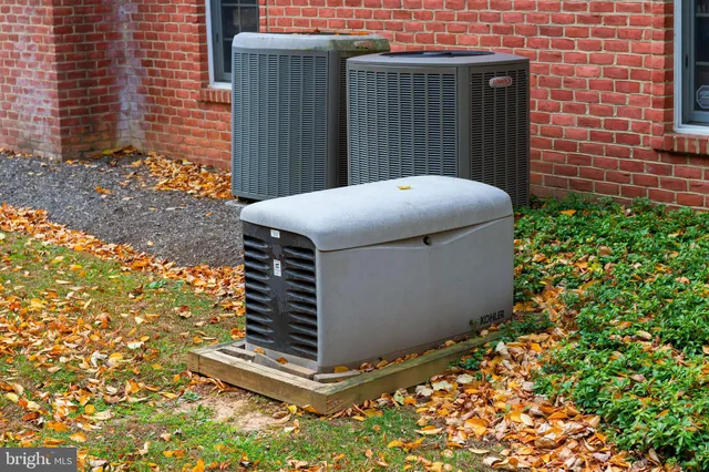 a view of yard with trees
