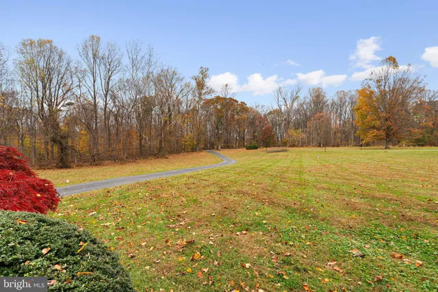 a view of yard with trees