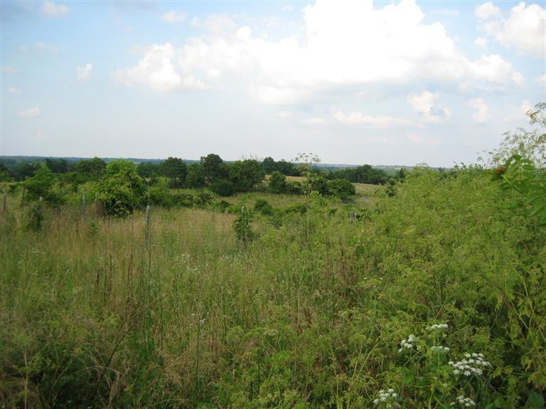 2738 High Bridge Road Lancaster, KY 40444 - Photo 29 of 39 Photo 29