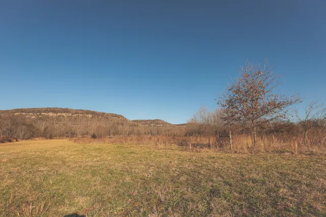 a view of a dry yard with mountains in the background