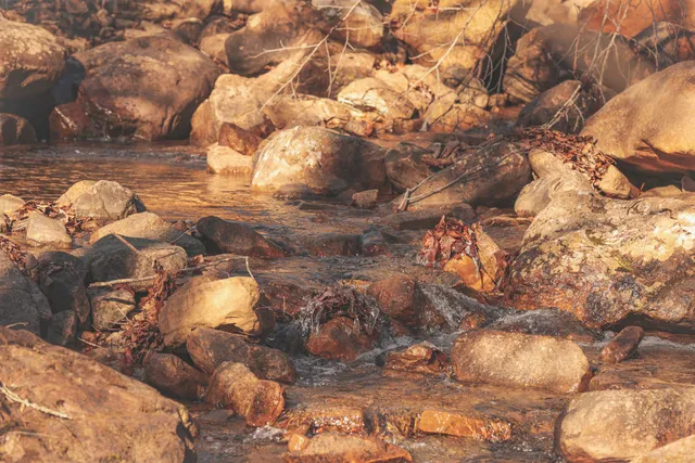 a view of a dry yard with mountains in the background