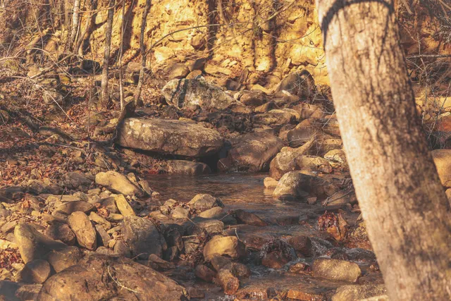 a view of a yard with a snow