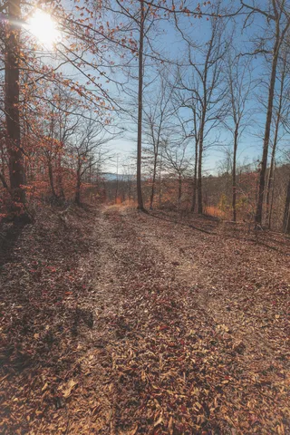 a front view of a building with a yard