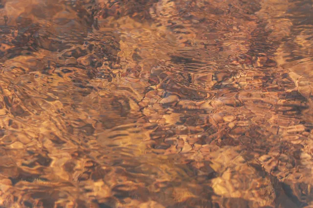 a view of a yard with an outdoor space