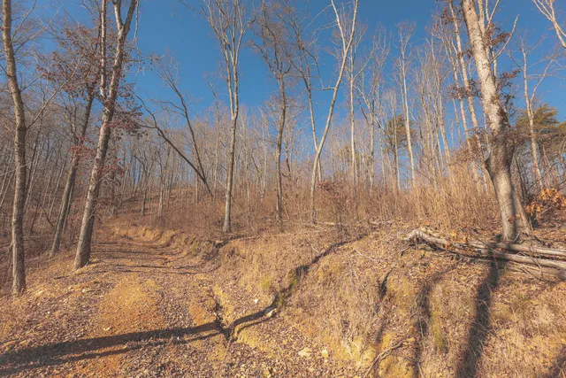 a view of a large mountain range with trees in the background
