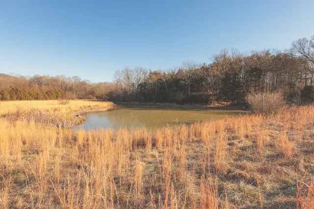 a view of a dry yard with mountains in the background