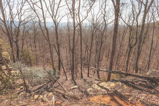 $6,500,000 | 3211 Old State Highway 28, Dunlap, TN 37327