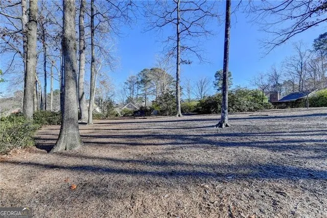 a backyard of a house with lots of green space