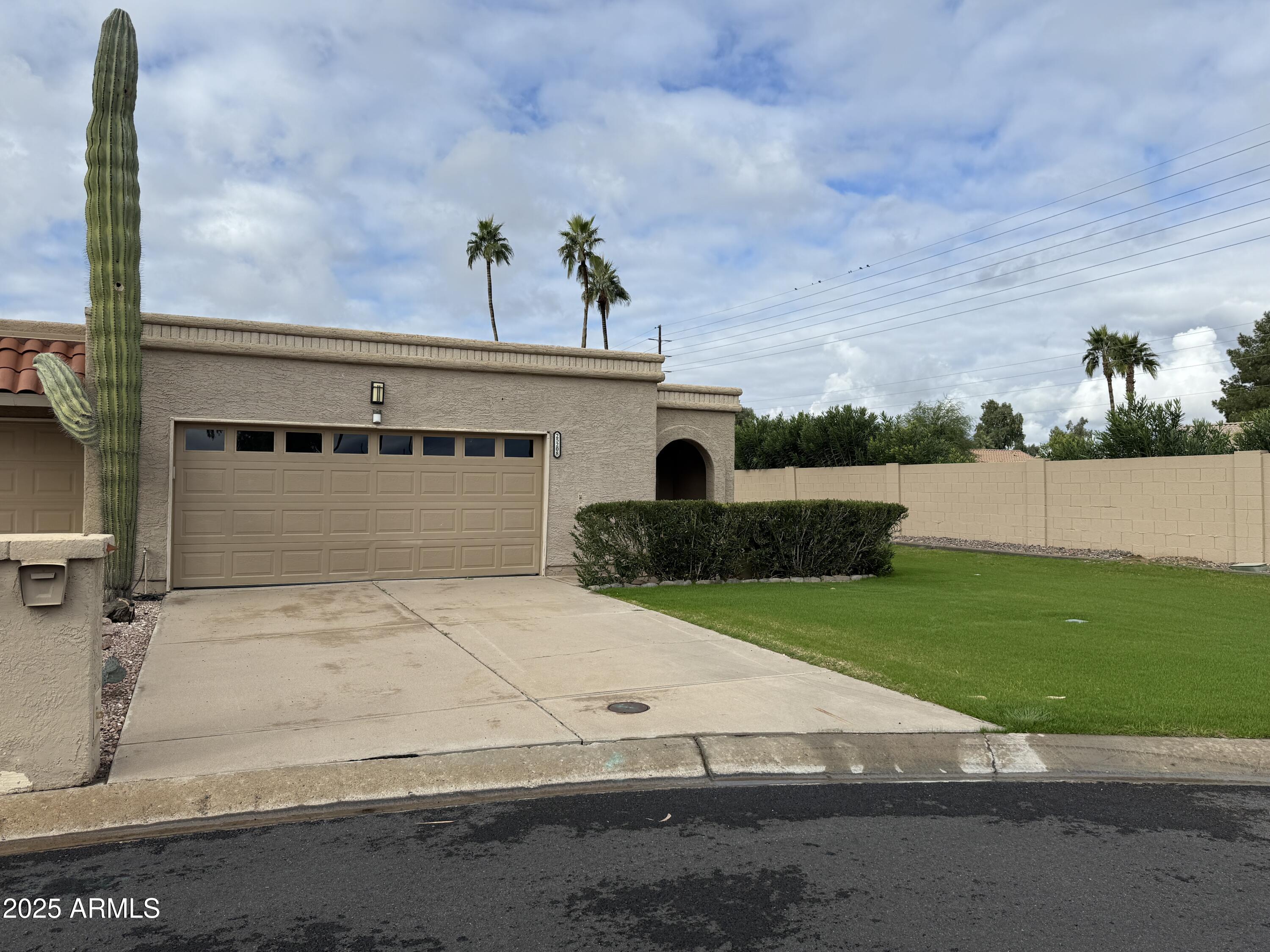 25208 South Angora Court Sun Lakes, AZ 85248 - Photo 2 of 22 a view of backyard with a garden and plants