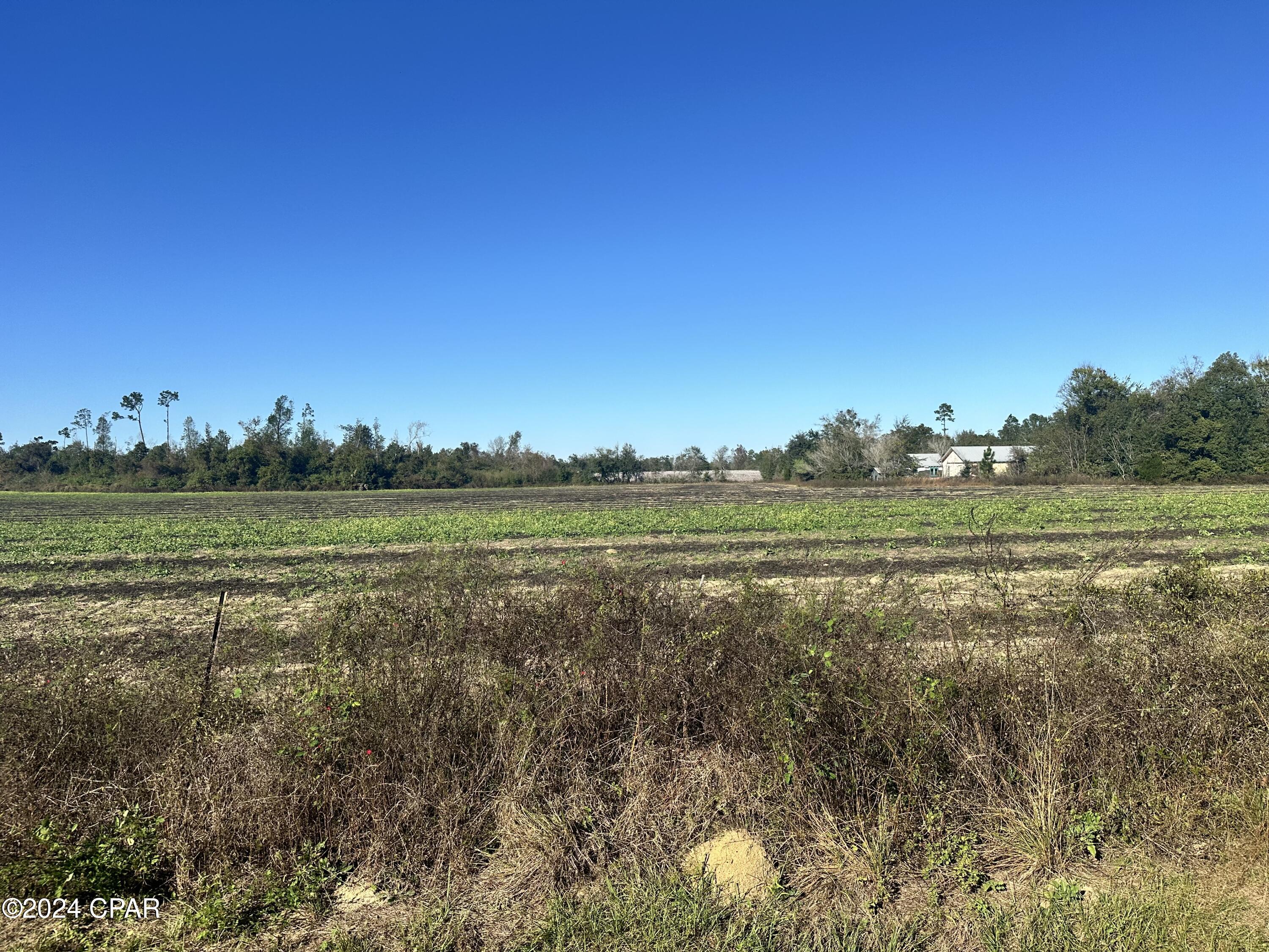 0 Northeast John Redd Road Blountstown, FL 32424 - Photo 2 of 7