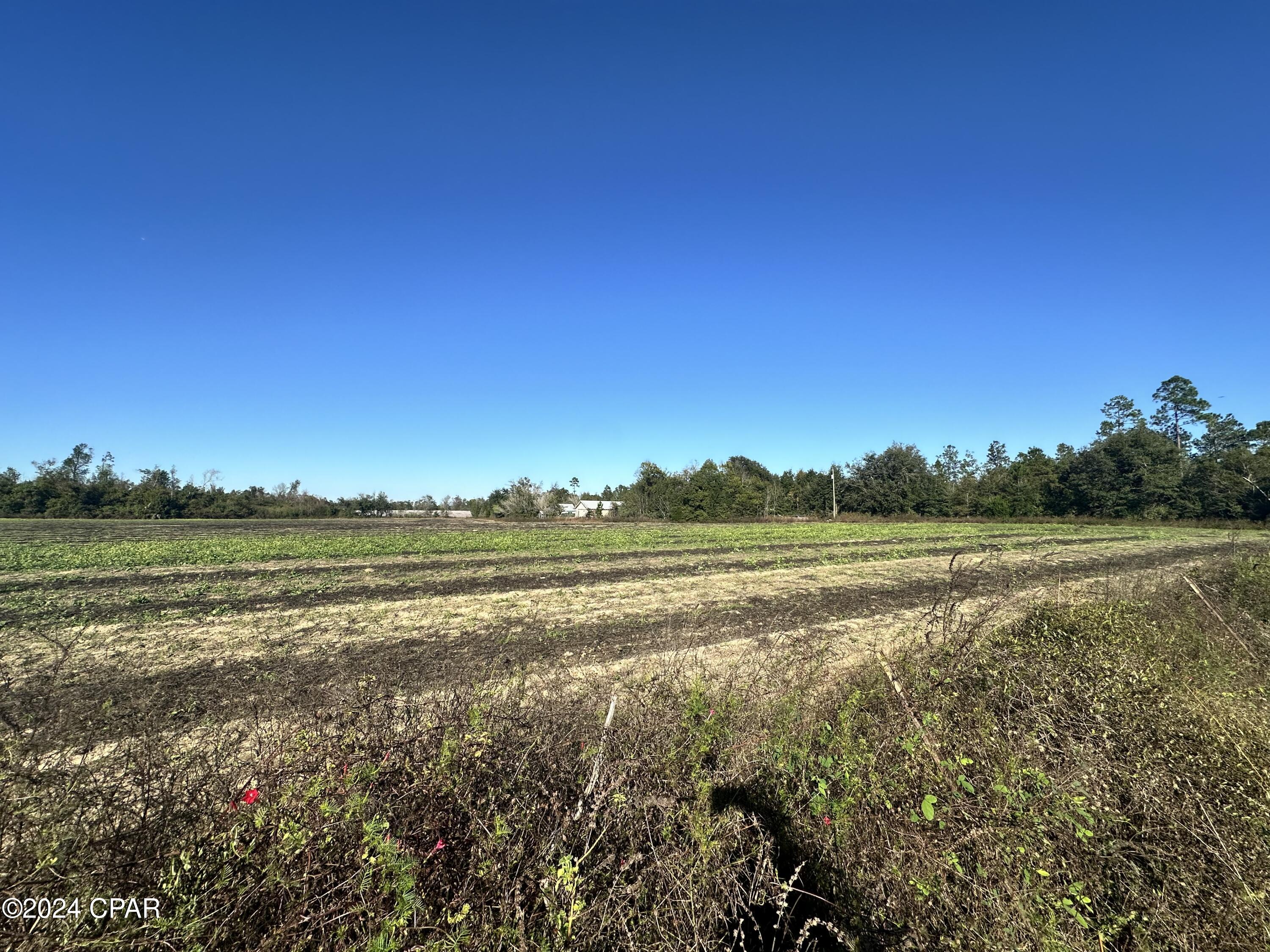 0 Northeast John Redd Road Blountstown, FL 32424 - Photo 3 of 7