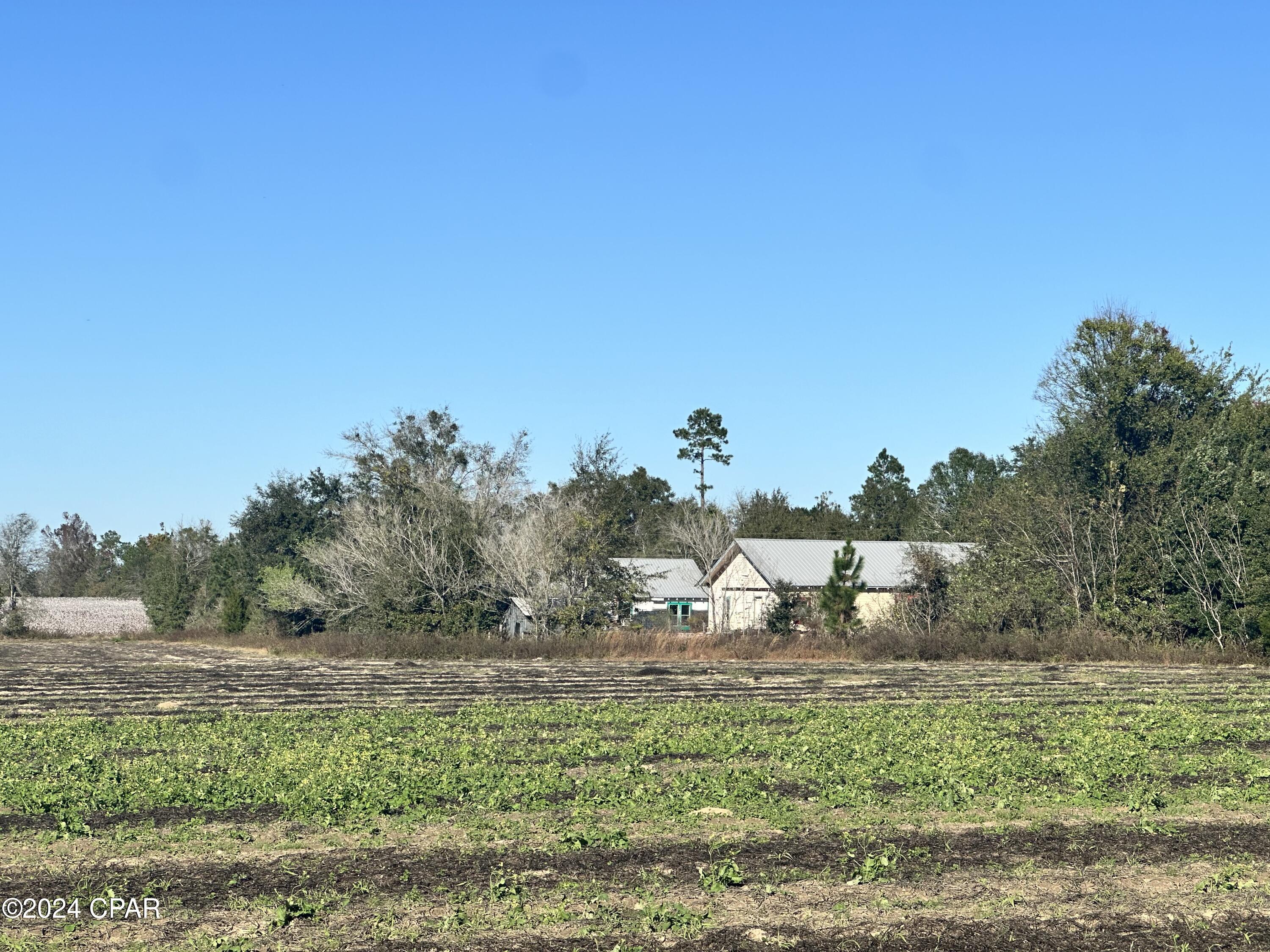 0 Northeast John Redd Road Blountstown, FL 32424 - Photo 4 of 7