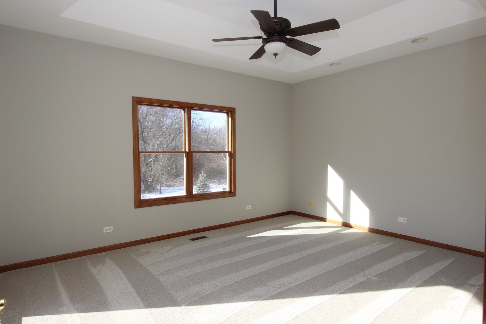 810 Prairie Ridge Drive Woodstock, IL 60098 - Photo 13 of 27 Gallery Image 13
