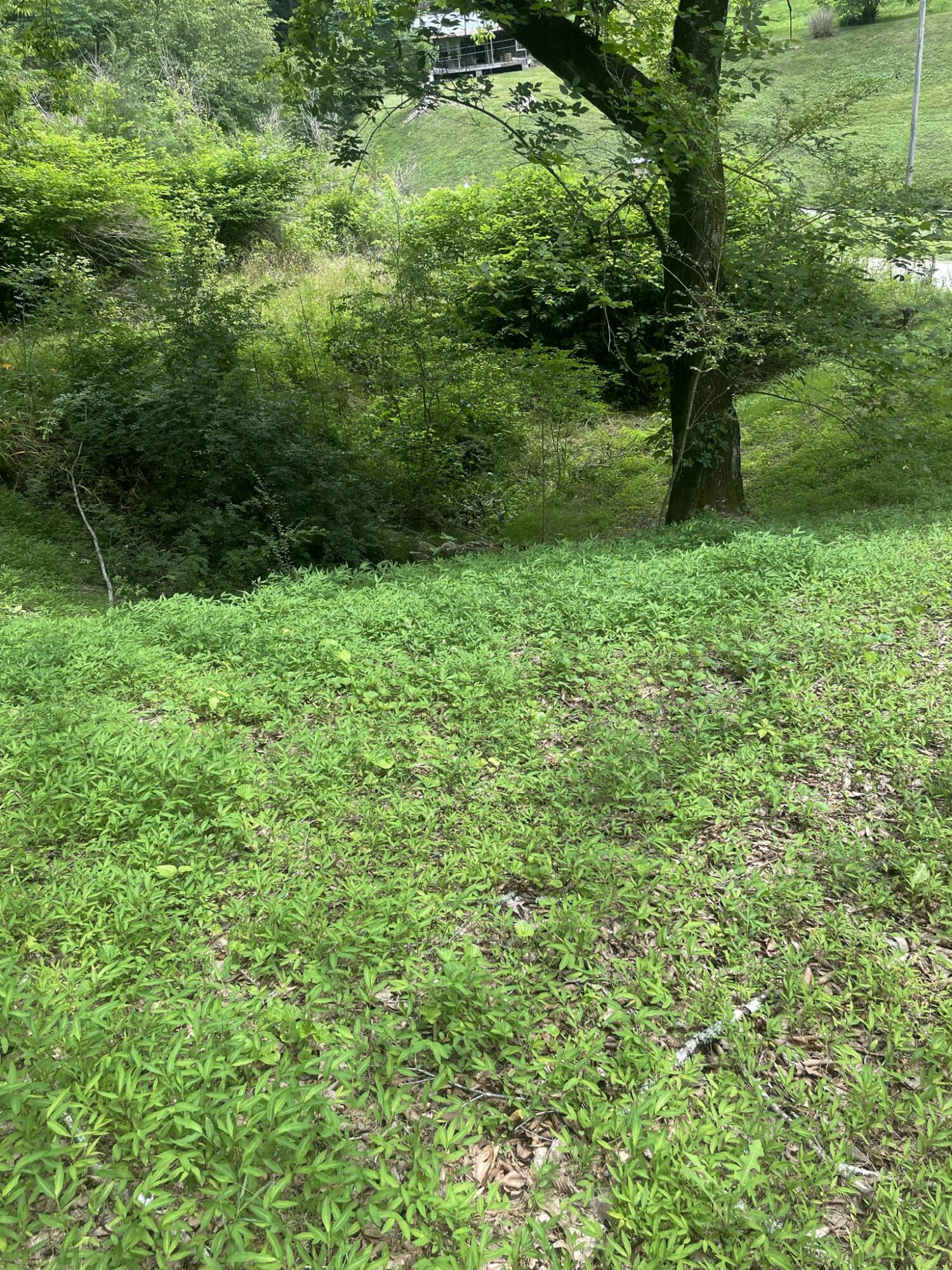 337 Lay Hollow Road Sharps Chapel, TN 37866 - Photo 11 of 13 5529A209-53E5-4895-A457-B2B337876BD4