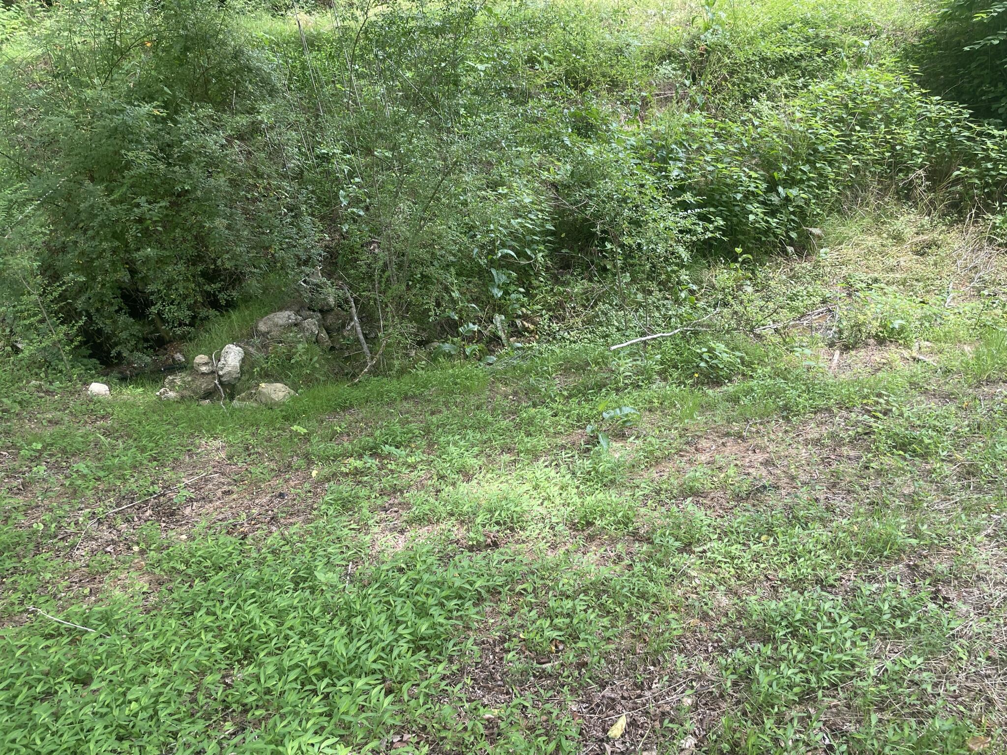 337 Lay Hollow Road Sharps Chapel, TN 37866 - Photo 12 of 13 CD96E304-5468-46CD-8FC0-7975596D121E