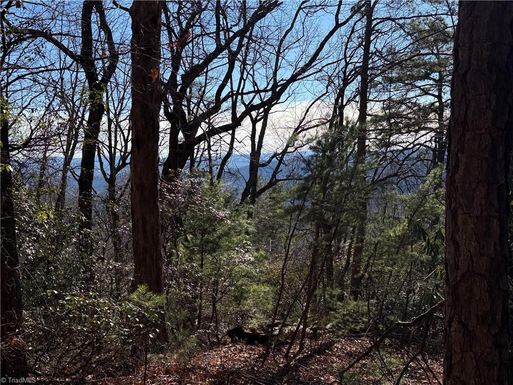 View Lot in Buck Mtn
