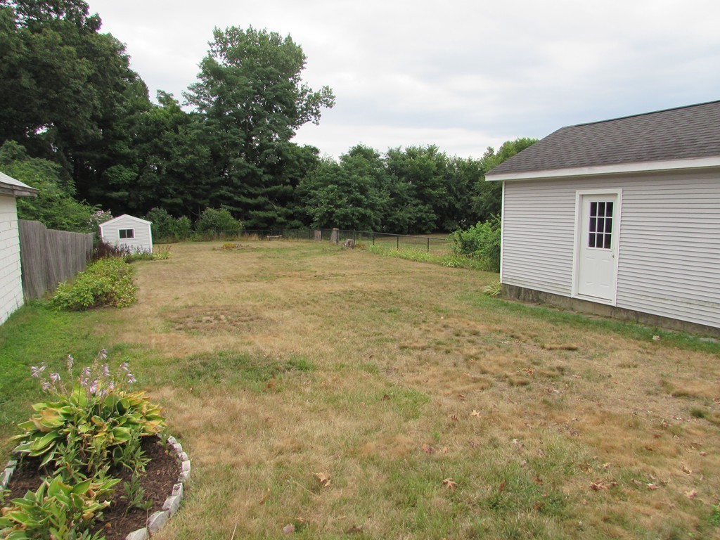 37 Barrison Street Springfield, MA 01109 - Photo 16 of 17 a view of a backyard with large trees