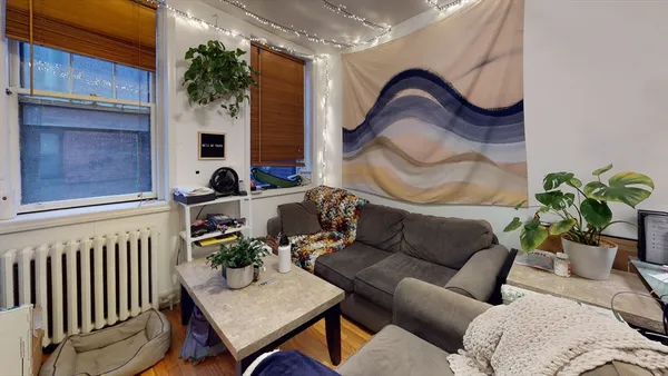 a living room with furniture and a potted plant