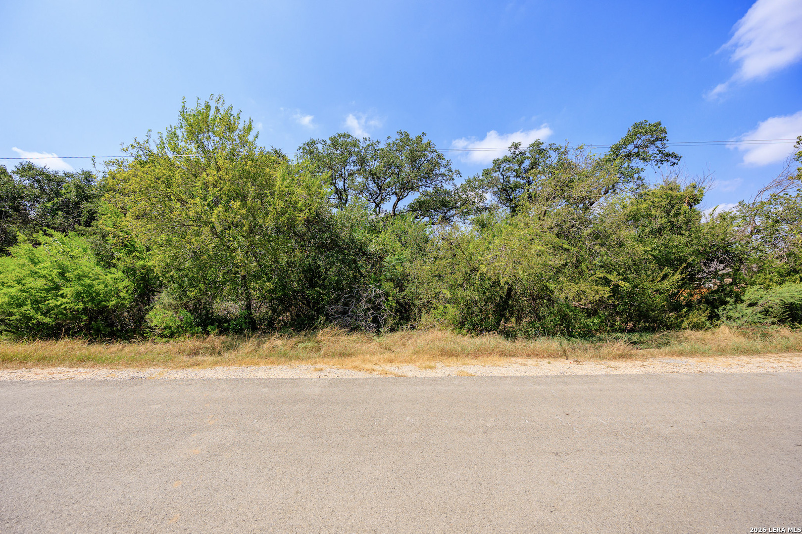 15416 Rhodius Lane Selma, TX 78154 - Photo 1 of 9 Gallery Image 1