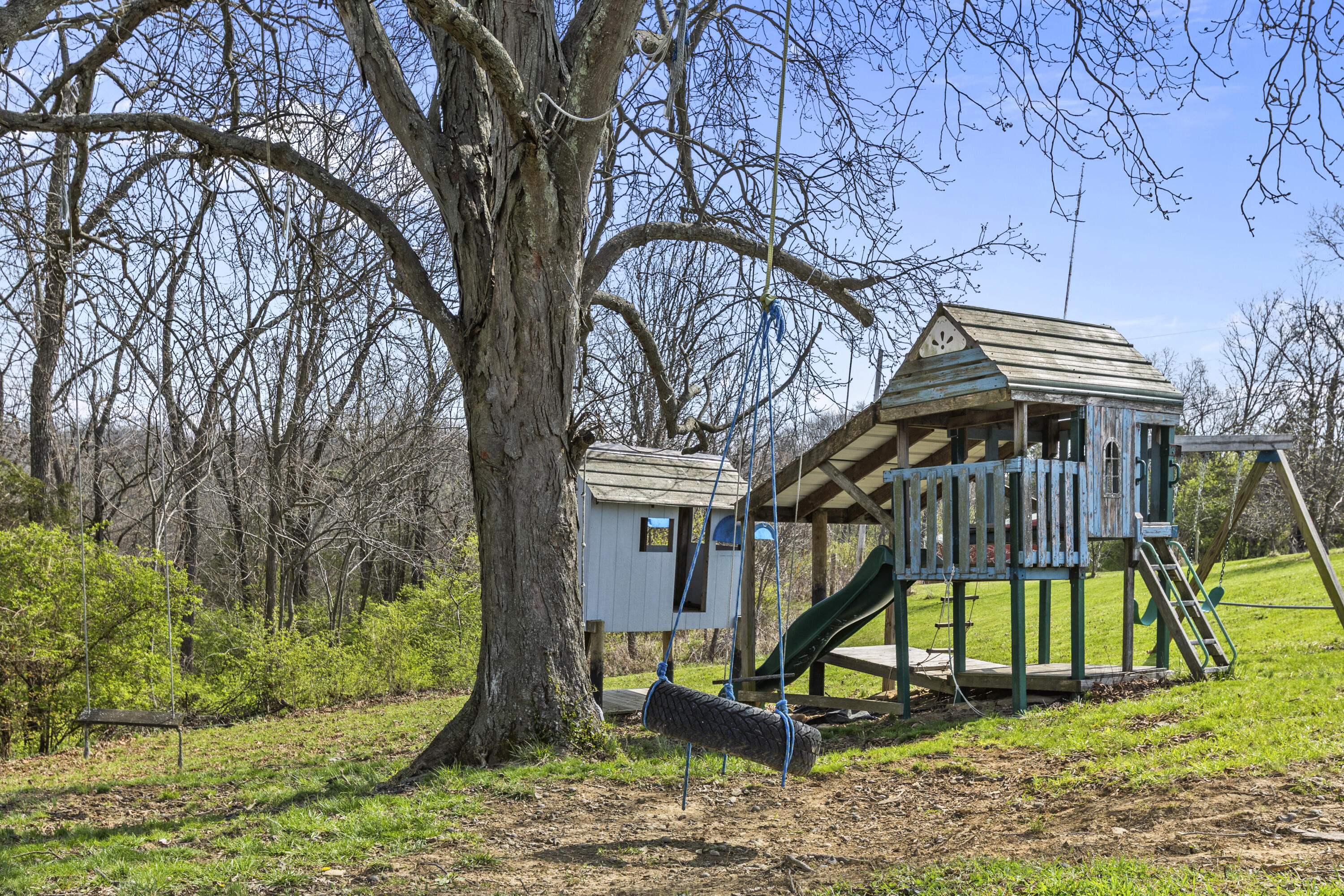 698 Mudlick Road Cynthiana, KY 41031 - Photo 38 of 43 I82A6480