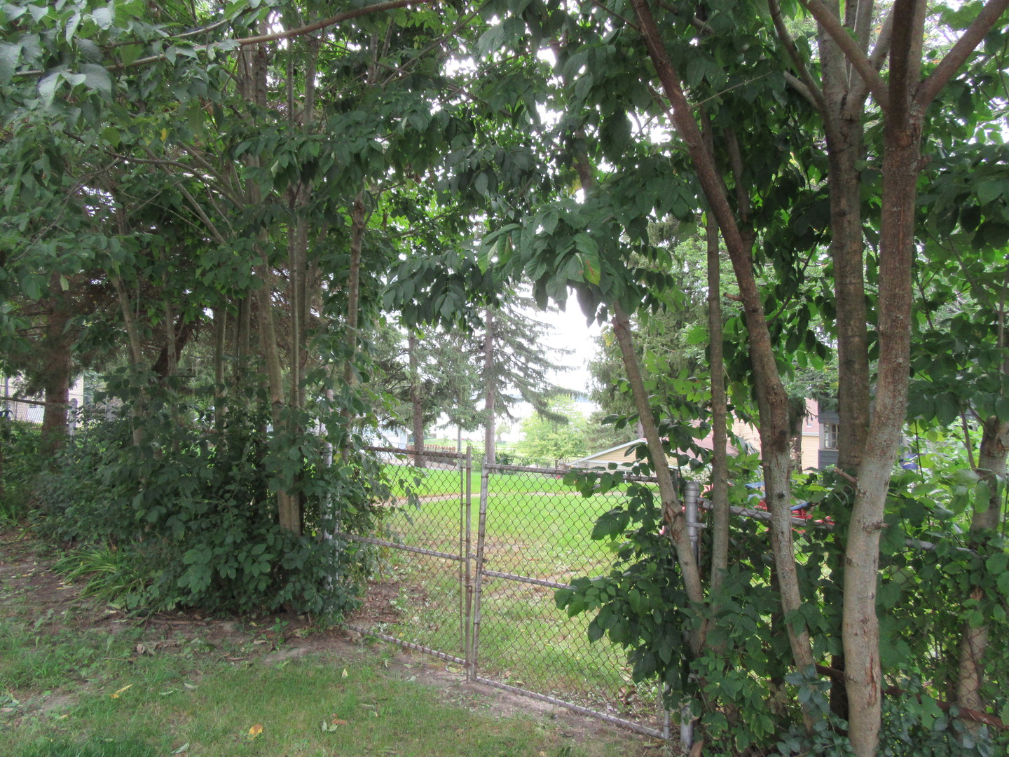 805 Ridge Avenue Wauconda, IL 60084 - Photo 25 of 25