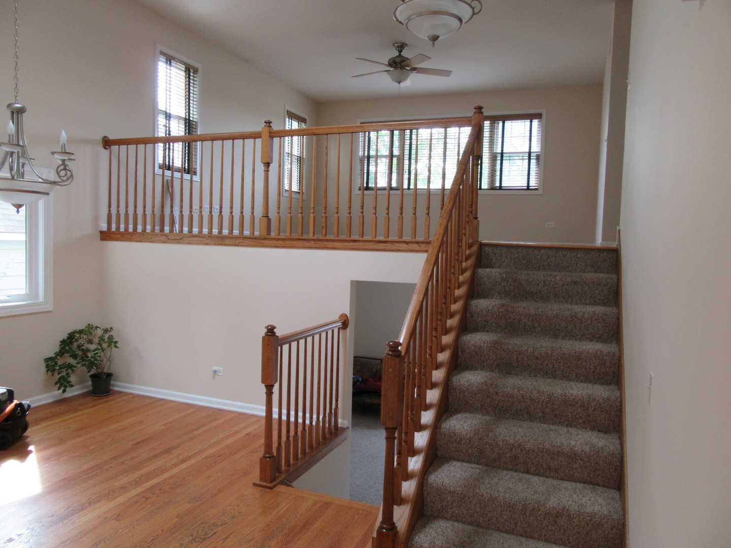 805 Ridge Avenue Wauconda, IL 60084 - Photo 4 of 25