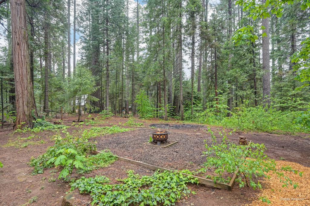 34180 Cable Road Alta, CA 95701 - Photo 46 of 58