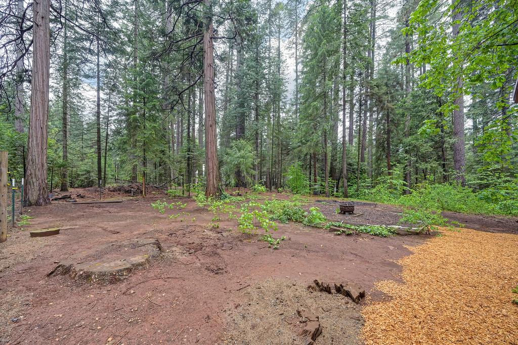 34180 Cable Road Alta, CA 95701 - Photo 48 of 58